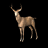 Deer.gif