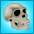 18 skull.jpg